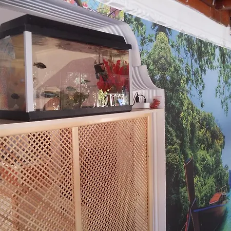 Uc Mevsim 3* 迪迪姆