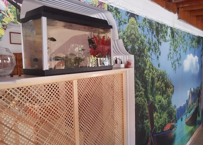 Uc Mevsim 3* ディディム